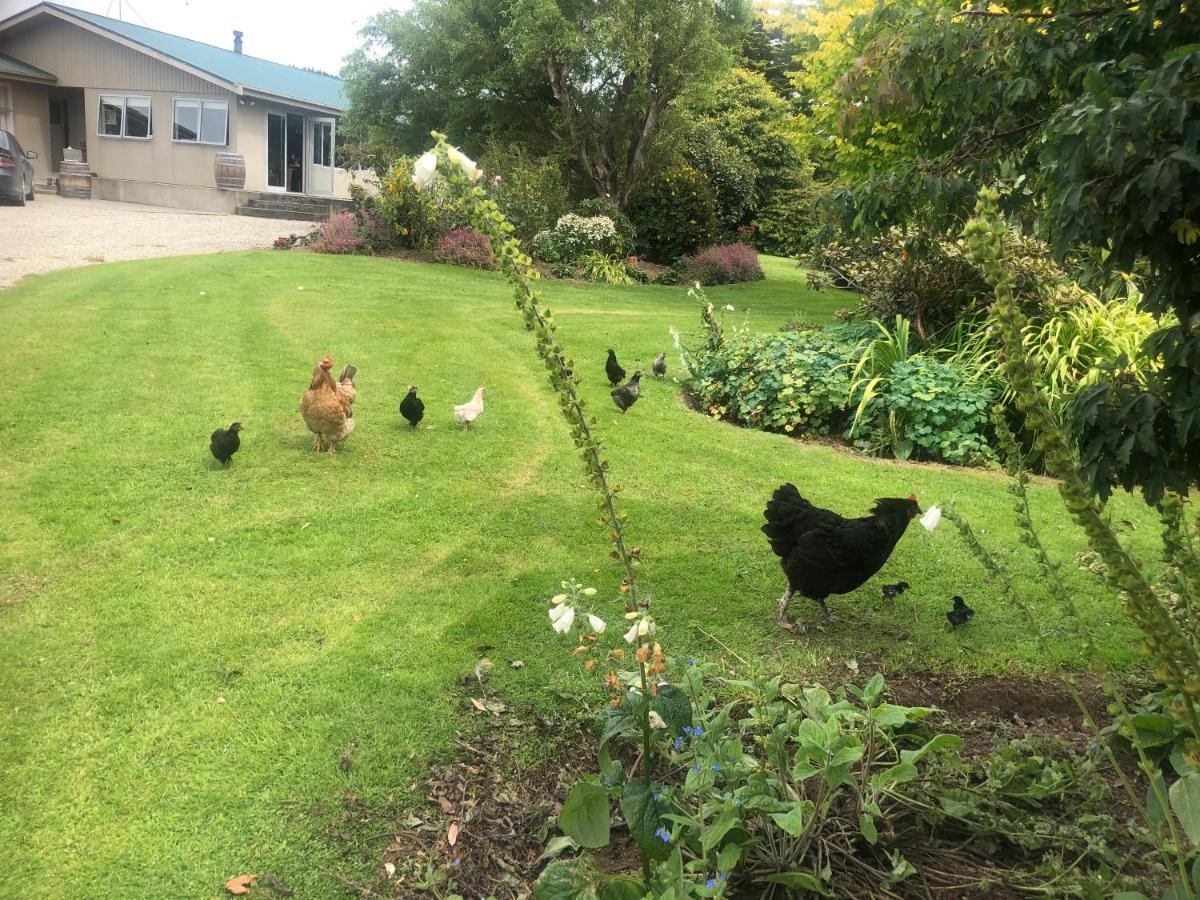 Southland Organic Farmstay Invercargill Luaran gambar